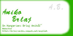 aniko brlaj business card